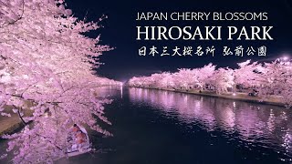 弘前公園 日本一の絶景桜名所 8K Beautiful Cherry Blossoms in Hirosaki Park Japan | 東北の風景 弘前城の夜桜 Sakura Landscape