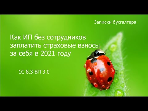 Страховые взносы ИП за себя за 2021 год