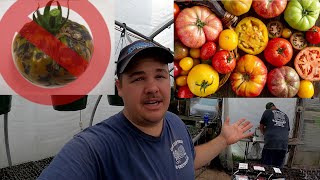 How do vegetable farmers feel about  (HEIRLOOM TOMATOES)
