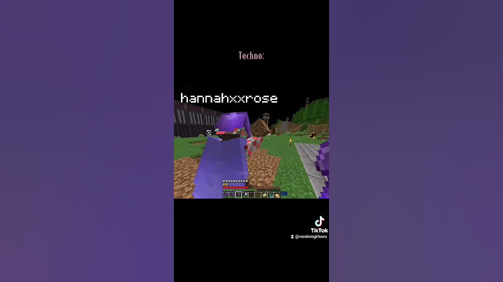 Technoblade's Bruh Moment