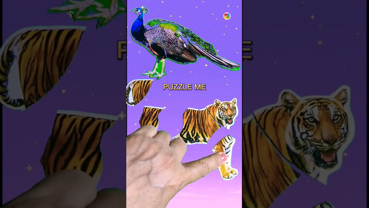 Matching The Puzzle Pieces of Tiger | Matching Puzzle Pieces | Puzzle Me 