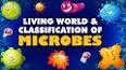 The hidden world of microorganisms ile ilgili video