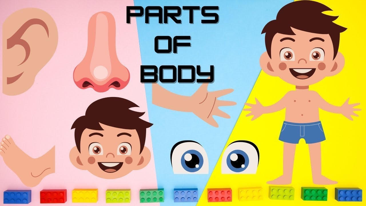 Parts of our Body | शरीर के अंगों के नाम | Hindi and English Vocabulary | story with kiwi 
