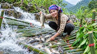 How Duong Built a Huge Bamboo Fish Trap at the Waterfall—Then Took the Catch to Market with the Kids