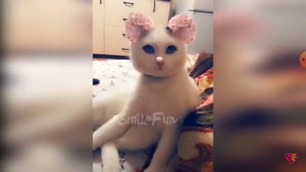 Смешное видео про ладу