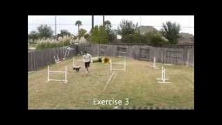 Handling Tunnel Traps with Motion Cues