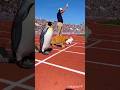 Cat vs Rabbit vs Penguin – Who Wins the Race? 🏁 #shorts