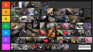 8C+/V16 Tier list