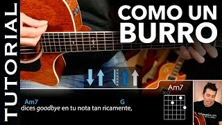 Vídeo de Como Un Burro Amarrado A La Puerta Del Baile