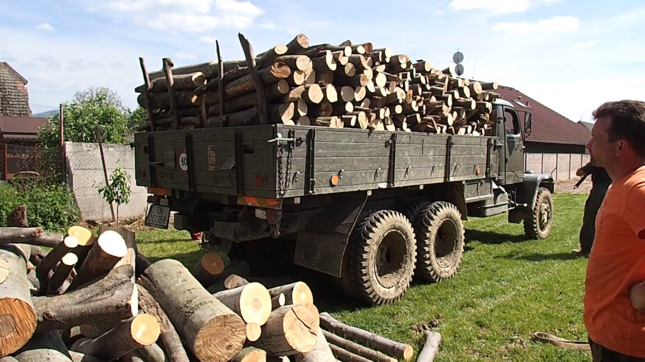 A drevo je na dvore...