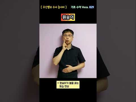 [ 기초 수어 Voca ] 829. 원숭이 - 수화배우기 [주넌쌤의 수어놀이터]