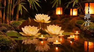 She Placed a Lotus on the Water and Let the Night Carry Her Worries Away 🪷 Koto Zen Sounds screenshot 5