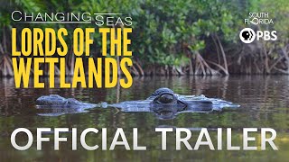Lords of the Wetlands - Trailer