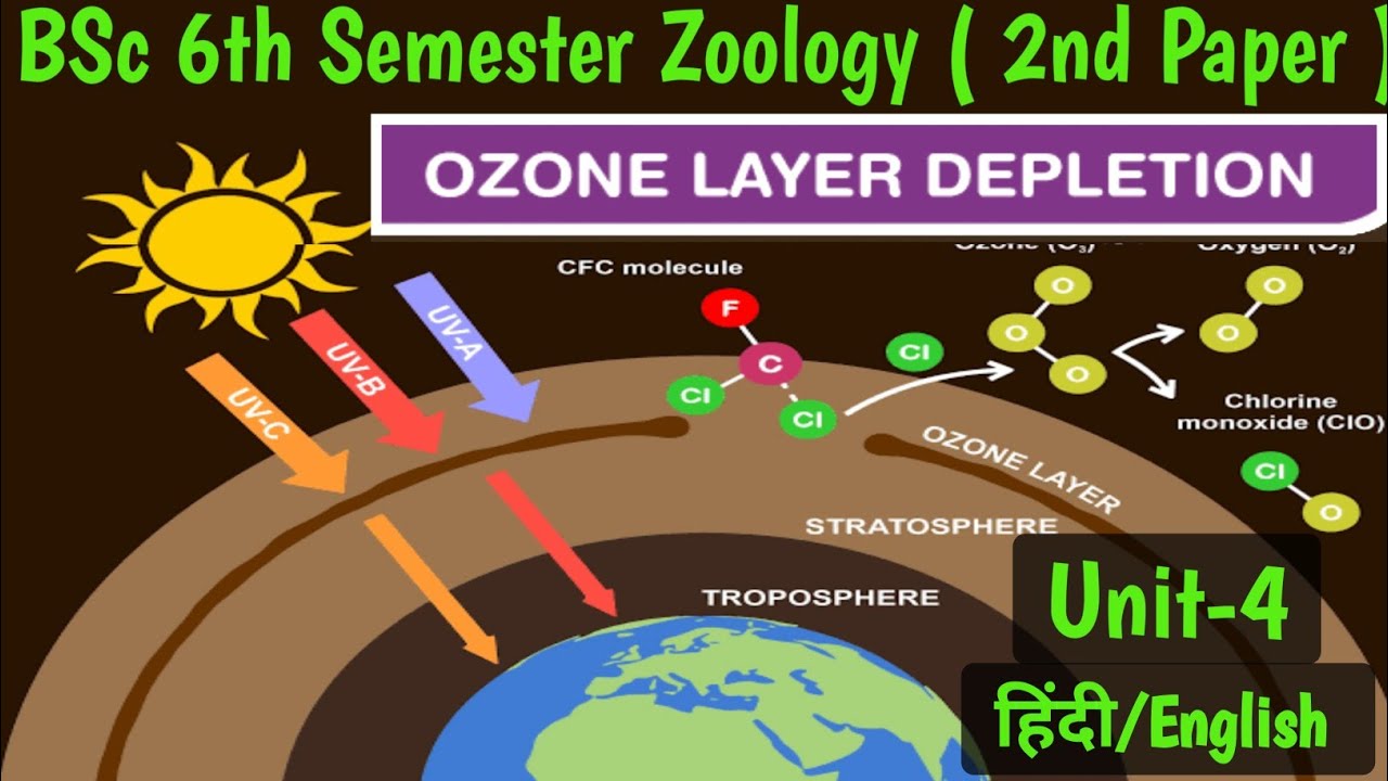 BSc 6th Semester Zoology 2nd Paper Unit 4//Ozone layer destruction in Hindi//Ozone Layer Destruction