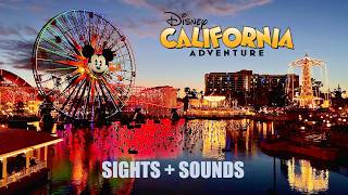 Disney California Adventure Sights + Sounds Ambiance - Disneyland Resort 4K