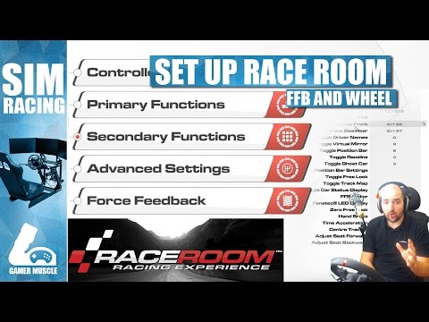 HOW TO SET UP WHEEL AND FFB IN RACE ROOM RACING EXPERIENCE