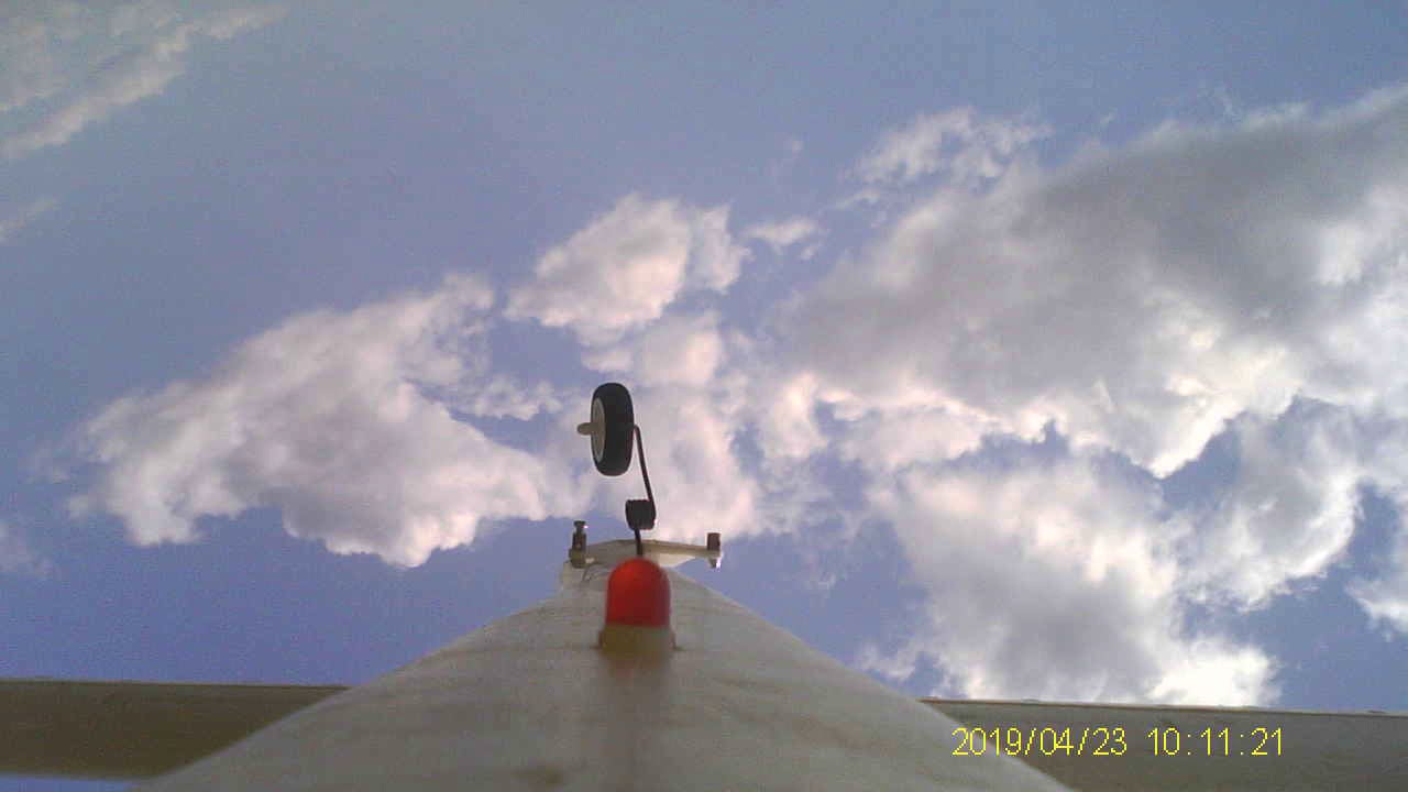 Timber accident YouTube