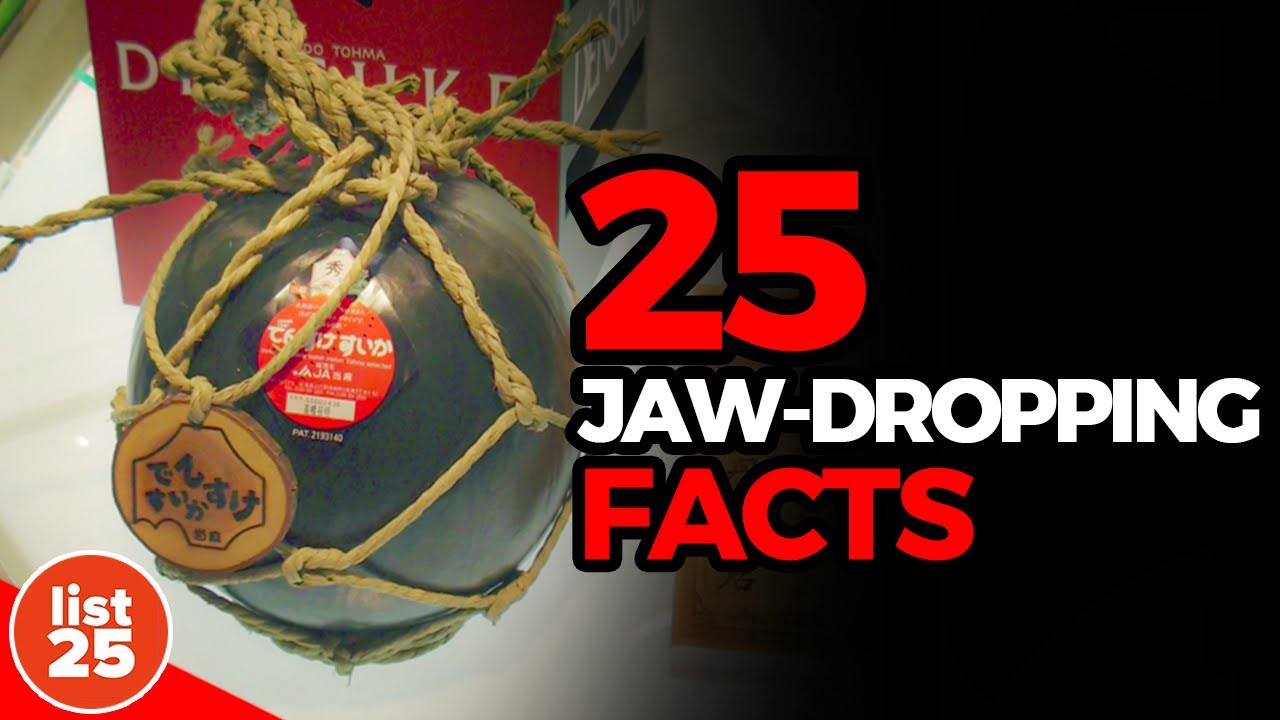 25 Jaw Dropping Facts That Will Leave You Astonished YouTube