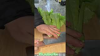 Ty 821000072 Mini Rotary Tillage And Ridging All-In One Tree