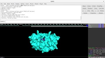 Pymol | How to draw an image of protein-ligand complex from pdb file.
