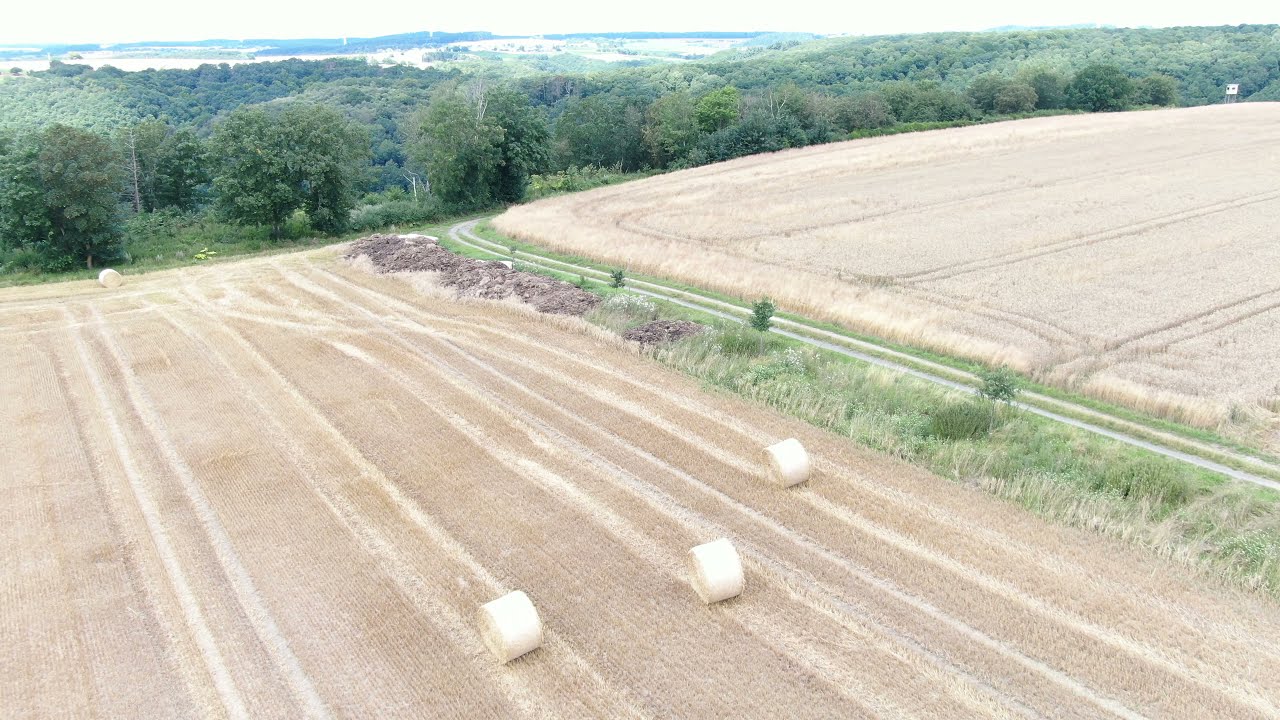 Agricultura na Alemanha
