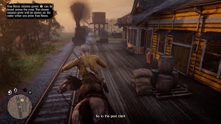 The Suicidal horse !!! - Red Dead Online