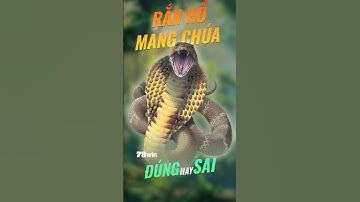 BÓNG MA RỪNG RẬM - VUA CỦA CÁC LOÀI RẮN!