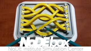Nodebox Ringtrace Basic
