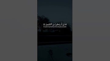 اكتب شيء تؤجر عليه ❤️🌨️ #القارئ ياسر الدوسري