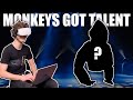 Monkeys got talent gorilla tag vr