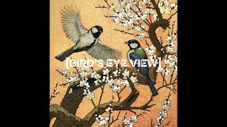 Nomadic- Bird’s Eye View | 90s Boom Bap Instrumental #boombap #hiphop #mpcx #boombapbeat #nomadic