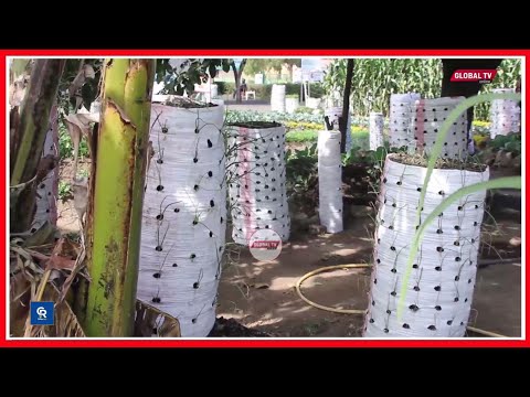 NANE NANE KANDA YA KUSINI KUWANUFAISHA WAKULIMA WATAJIFUNZA KANUNI BORA ZA KILIMO