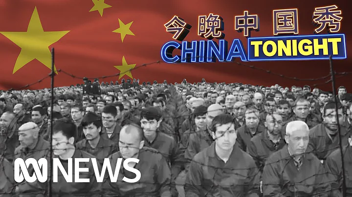 UN report accuses China of "serious human rights violations" | China Tonight | ABC News - DayDayNews