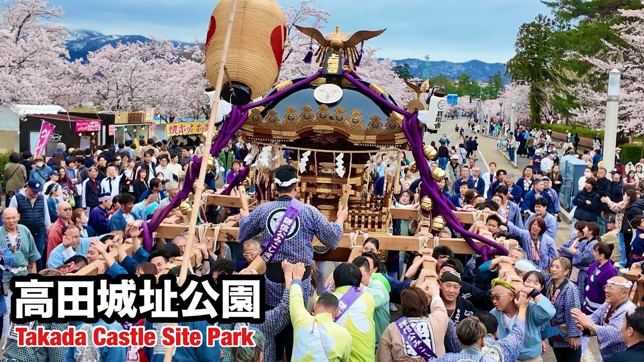 祭り 高田城址公園 観桜会】桜彩る神輿渡御2026 Takada Castle Site Park