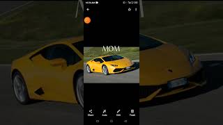 If Luxury Cars My Family