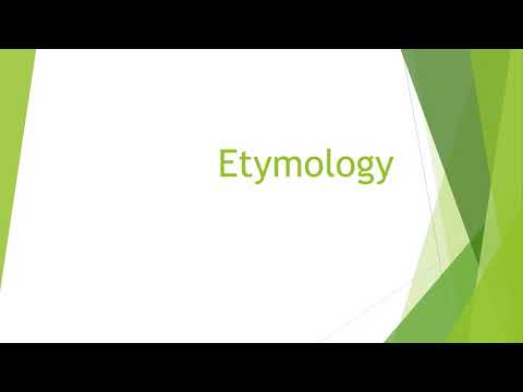 Video: What Is Etymology