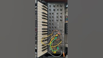 10/1/24 (esophagus loop) Korg MS-20 MKI
