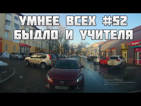 УМНЕЕ ВСЕХ #52. БЫДЛО И УЧИТЕЛЯ НА ДОРОГЕ