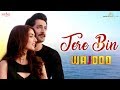 Tere Bin | Wajood Movie | New Love Song | Danish Taimoor, Saeeda Imtiaz | Hindi Song 2018