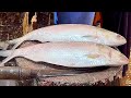 Big Hilsa Fish Cutting Skills In Fish Market | Delicious Ilish Fish Cutting Skills