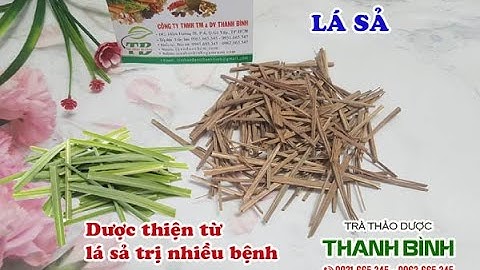 Lá Sả | Công dụng của lá sả