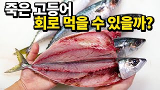 How to make shimesaba with dead mackerel (It's so delicious!)