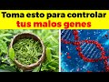 7 formas de desactivar tus malos genes