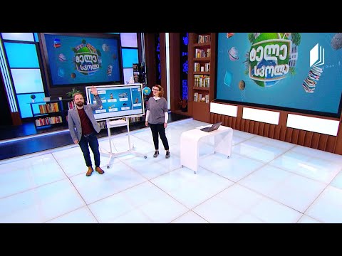 დაწყებითი კლასები   Young Learners   Musical Instruments    #ტელესკოლა