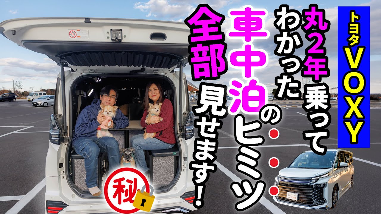 【完全版】車中泊の様子全部見せます！ノア・ヴォクシーでの快適車中泊の仕方はコレ！走行モードから車中飯、就寝モードにくつろぎタイム、わんこ連れの方も必見！2025バージョン