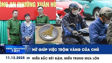 [LIVE] XEM NHANH 12H: Nữ giúp việc trộm vàng của chủ |Miền Bắc rét đậm, miền Trung mưa lớn diện rộng