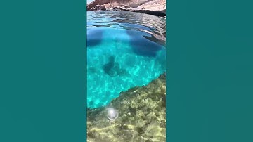 تلاوة رائعة خاشعة بصوت ساحر ينسيك الحزن