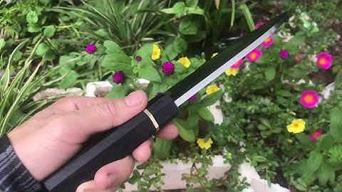 TLVN-Dao Làm Bếp dao Deba tay trái chuyên mổ file cá thép HSS cán gỗ mun khâu sừng