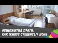 Общежития Праги. Как живут студенты в Чехии? Конь