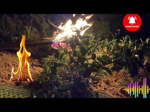 3 Qiso Hambalyo Iyo Bushaaro Qofkasta Oo Xaalado Adag Dareemaya 